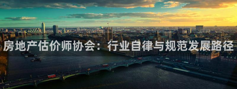 风暴娱乐字图片大全：房地产估价师协会：行业自律与规范发展路径
