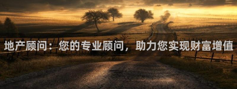 风暴数字娱乐：地产顾问：您的专业顾问，助力您实现财富增值