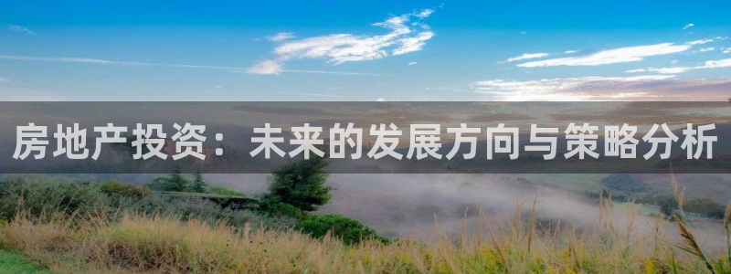 风暴娱乐344272：房地产投资：未来的发展方向与策略分析