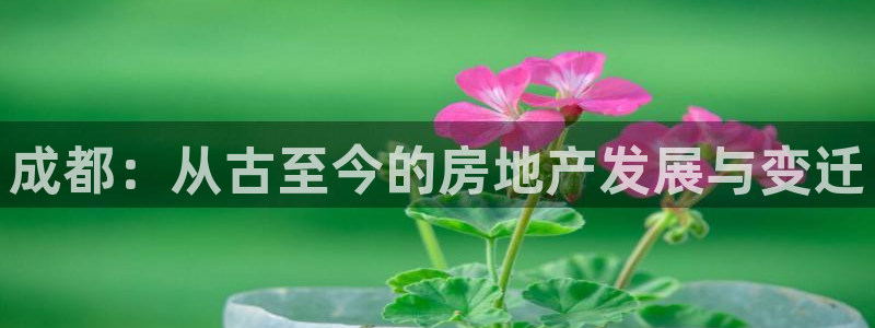 风暴娱乐主页：成都：从古至今的房地产发展与变迁