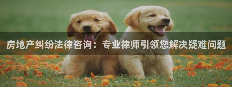 风暴新娱乐：房地产纠纷法律咨询：专业律师引领您解决疑难问题