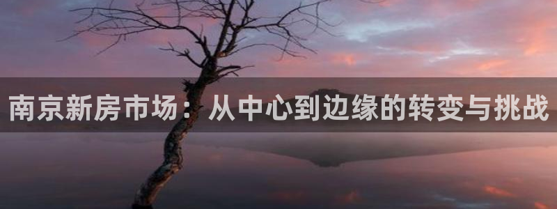 风暴娱乐老板：南京新房市场：从中心到边缘的转变与挑战