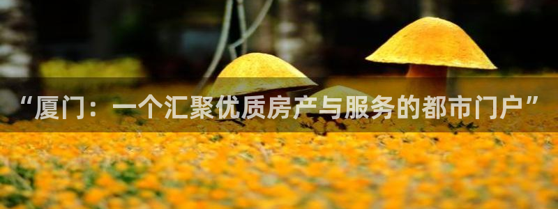 风暴娱乐1980：“厦门：一个汇聚优质房产与服务的都市门户”