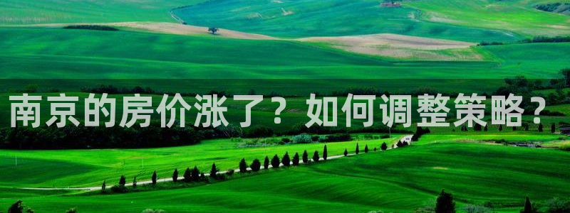 风暴娱乐字图片大全：南京的房价涨了？如何调整策略？