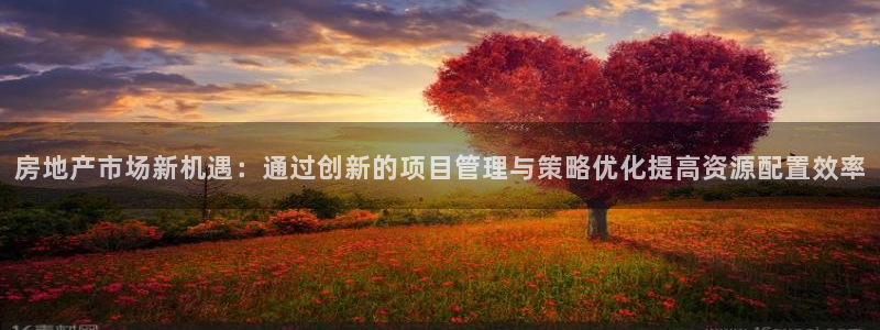 风暴娱乐下载地址：房地产市场新机遇：通过创新的项目管理与策略