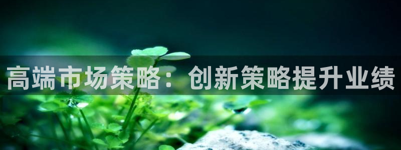 风暴娱乐 平台首页：高端市场策略：创新策略提升业绩