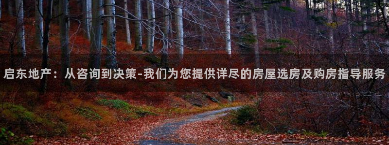 风暴娱乐开户：启东地产：从咨询到决策-我们为您提供详尽的房屋