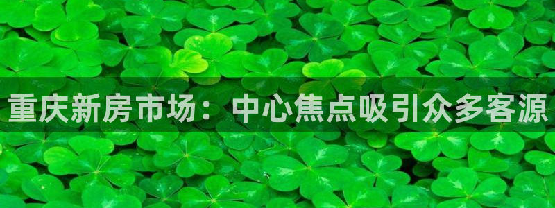 风暴娱乐客服：重庆新房市场：中心焦点吸引众多客源