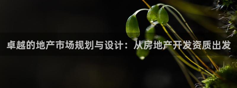 风暴英雄娱乐：卓越的地产市场规划与设计：从房地产开发资质出发