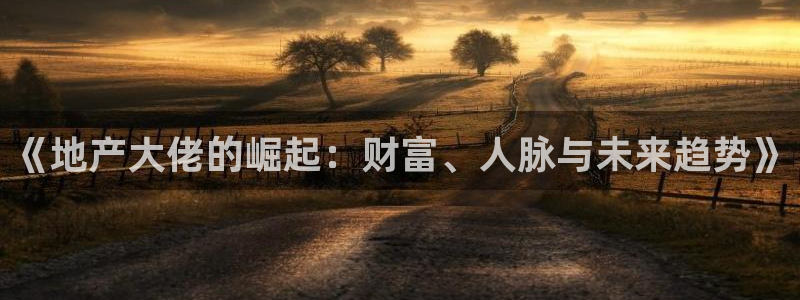 风暴娱乐求333OOf：《地产大佬的崛起：财富、人脉与未来趋