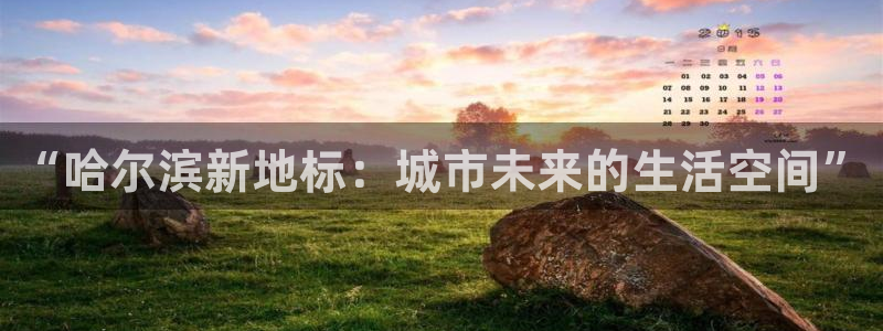 风暴娱乐园：“哈尔滨新地标：城市未来的生活空间”