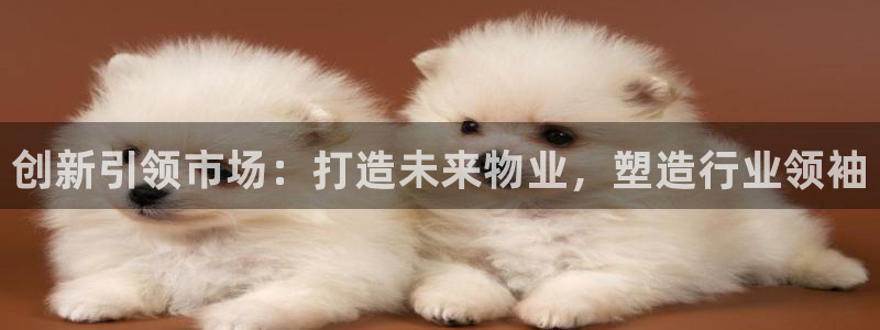 风暴娱乐提现：创新引领市场：打造未来物业，塑造行业领袖