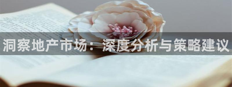 风暴大厅娱乐：洞察地产市场：深度分析与策略建议