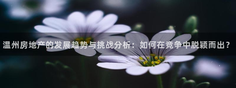 风暴娱乐这个平台靠谱：温州房地产的发展趋势与挑战分析：如何在