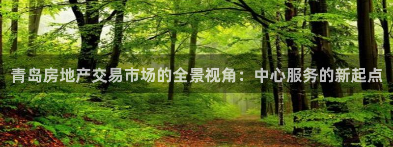 风暴英雄娱乐：青岛房地产交易市场的全景视角：中心服务的新起点