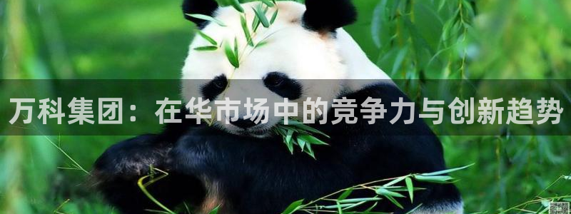 风暴娱乐主页：万科集团：在华市场中的竞争力与创新趋势