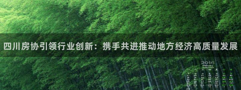 风暴注册娱乐：四川房协引领行业创新：携手共进推动地方经济高质