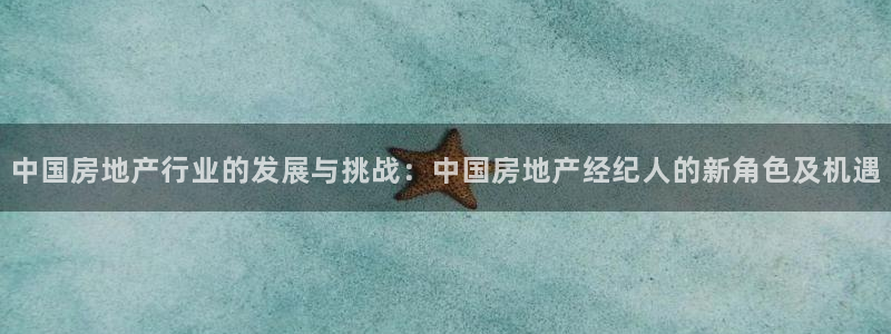 风暴娱乐1980：中国房地产行业的发展与挑战：中国房地产经纪