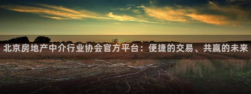 风暴娱乐待遇：北京房地产中介行业协会官方平台：便捷的交易、共
