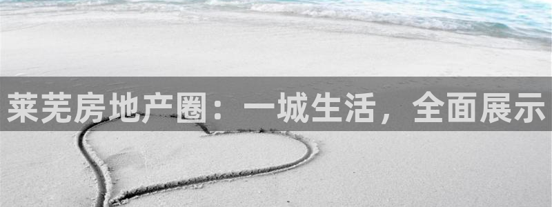 风暴娱乐代理登录：莱芜房地产圈：一城生活，全面展示