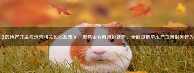 风暴娱乐银川：《房地产开发与运营相关税收政策》：聚焦企业所得